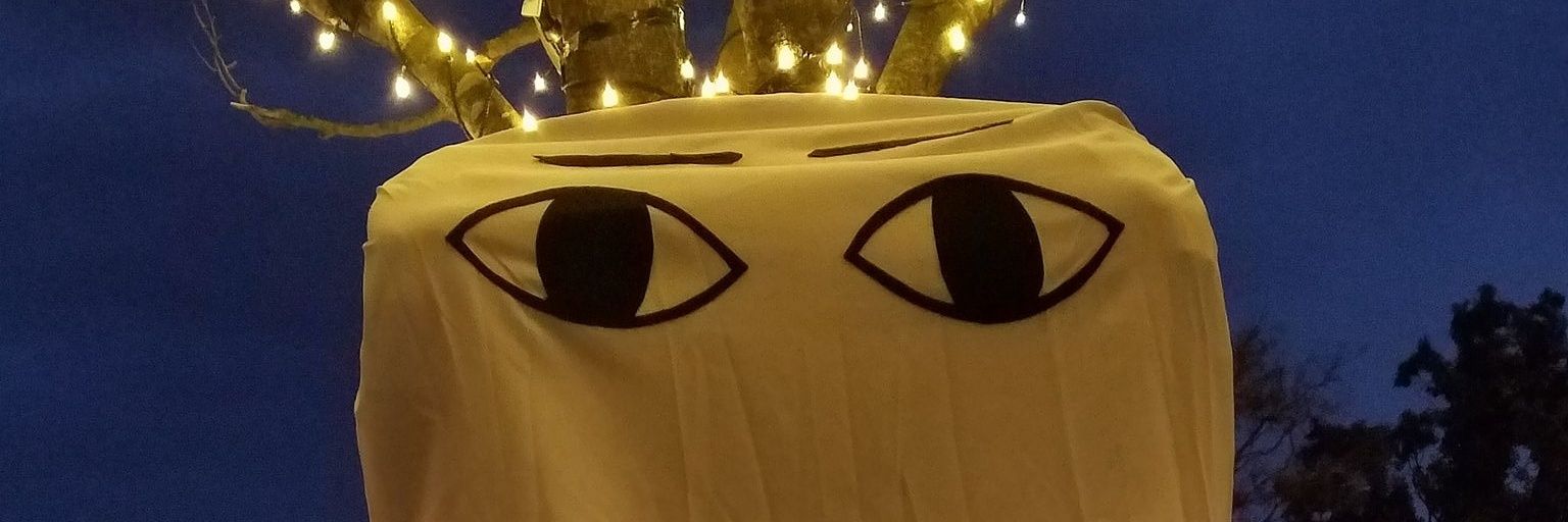 hasukawarin's profile banner image