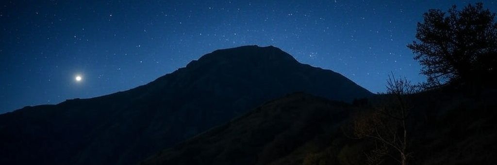 Biycoin banner