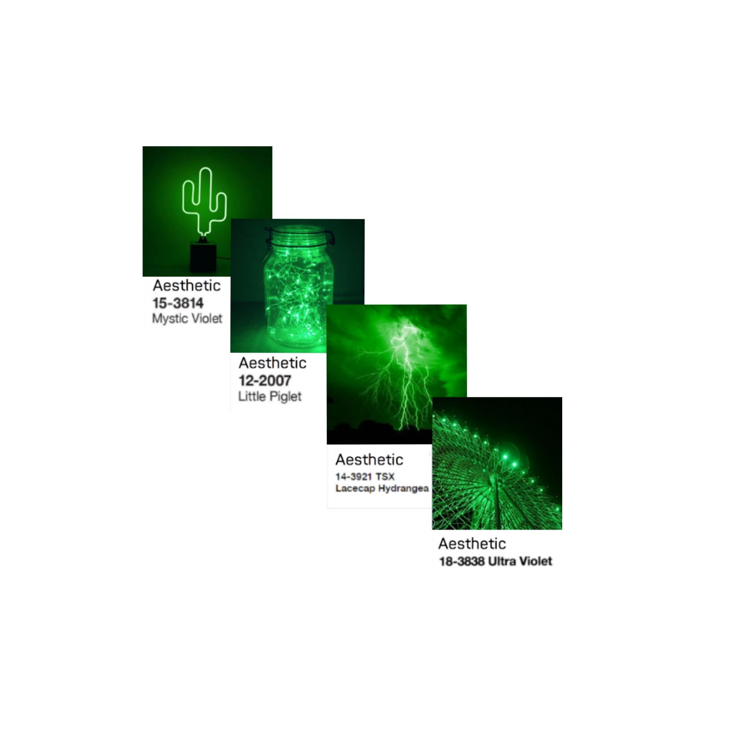 Pupae_STC's profile banner image