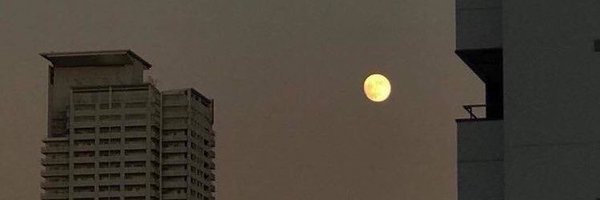 cuursy Profile Banner