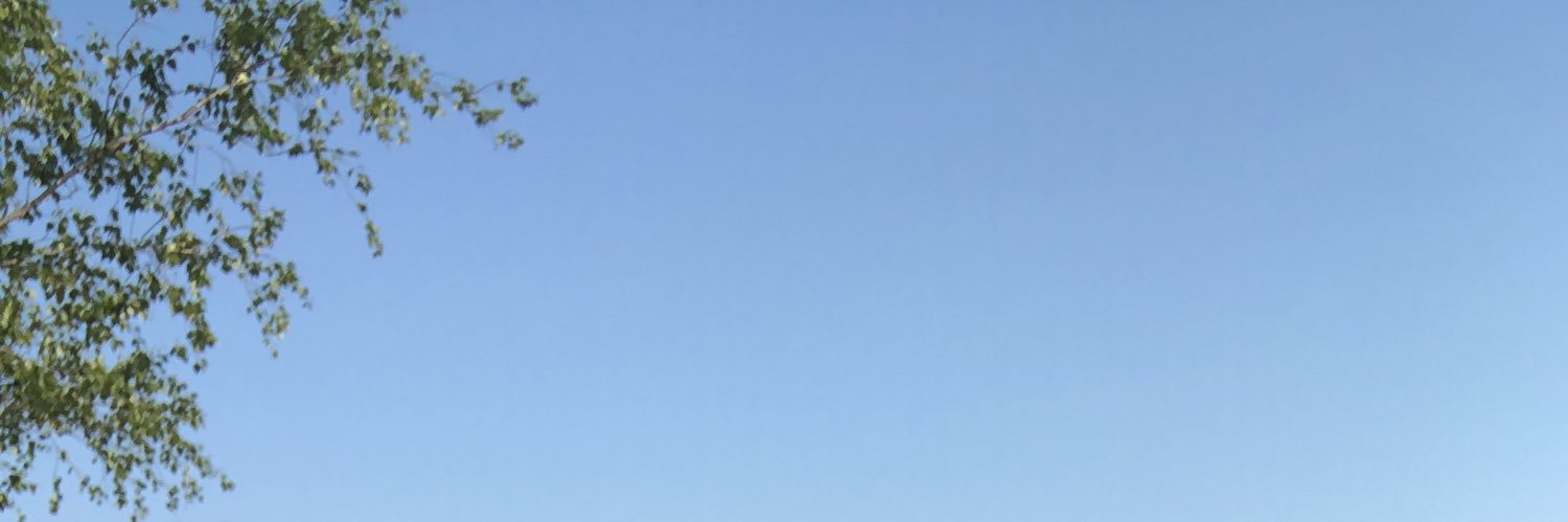 odolai banner