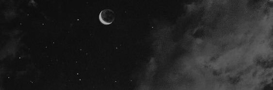 HavuzuSus1's profile banner image