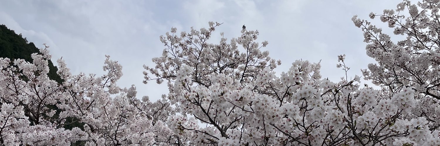 narixakixken's profile banner image