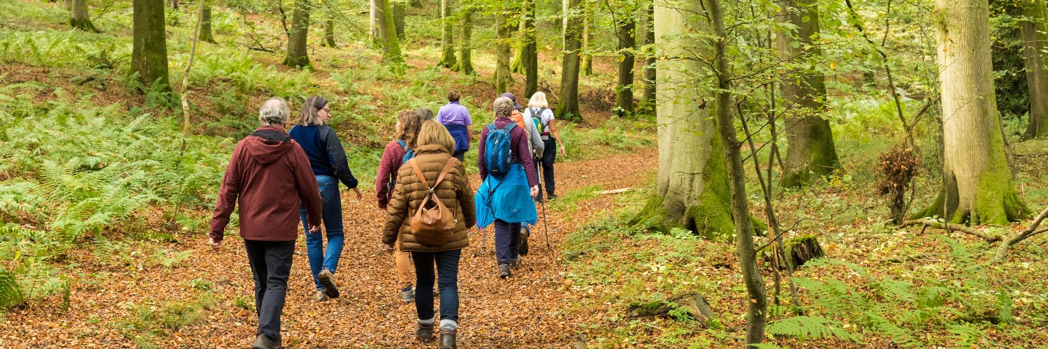ChiltWalkFest's profile banner image