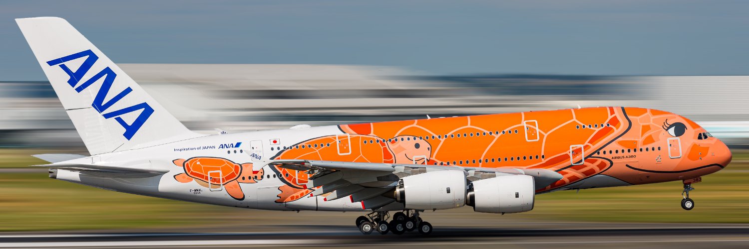 Aviation Toulouse banner