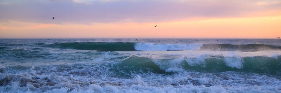rizal 🌊🫧🎐 banner