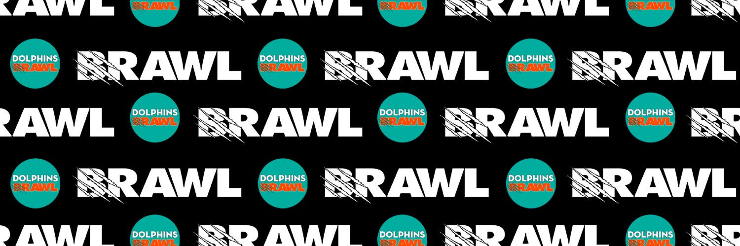 Dolphins Brawl ™️ banner