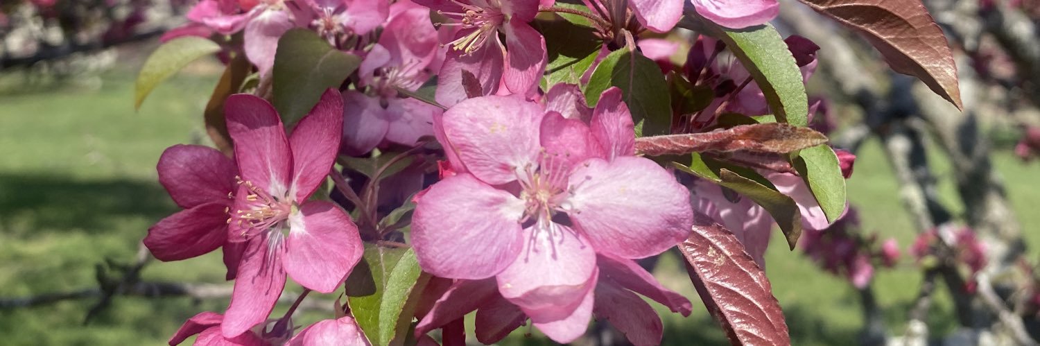 Bernheim Forest banner