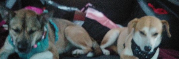 krystalmoon_pw Profile Banner