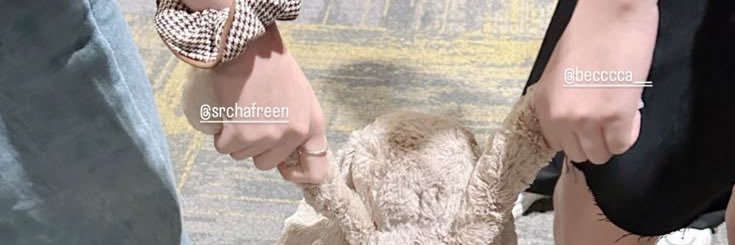 Mica⚢ - 📖: Desenhos ocultos banner