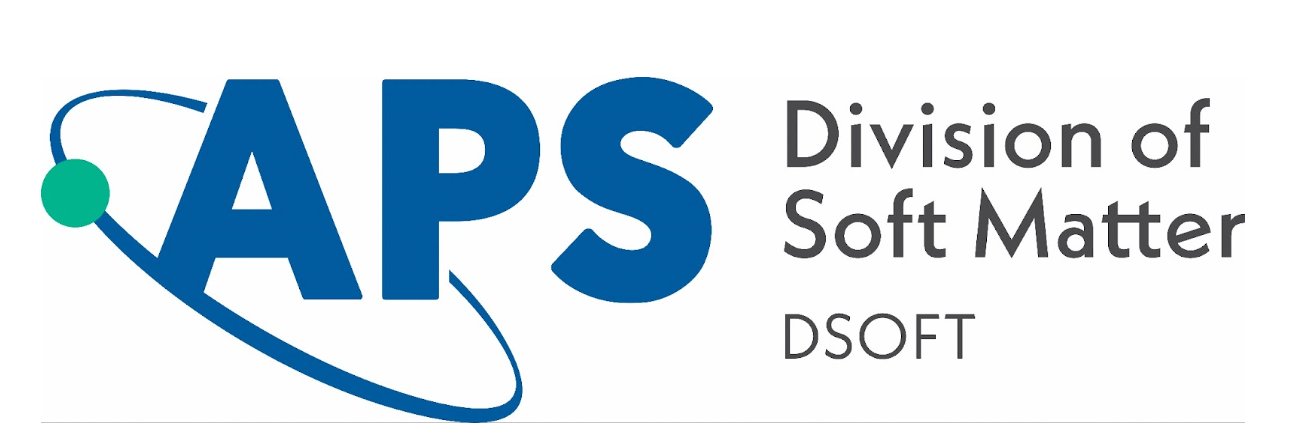 APS DSOFT's banner