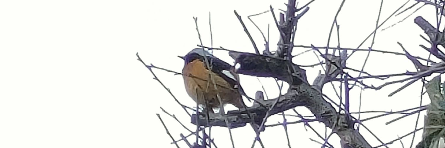 ☪みゆ☆かみやのさん家☪︎ banner