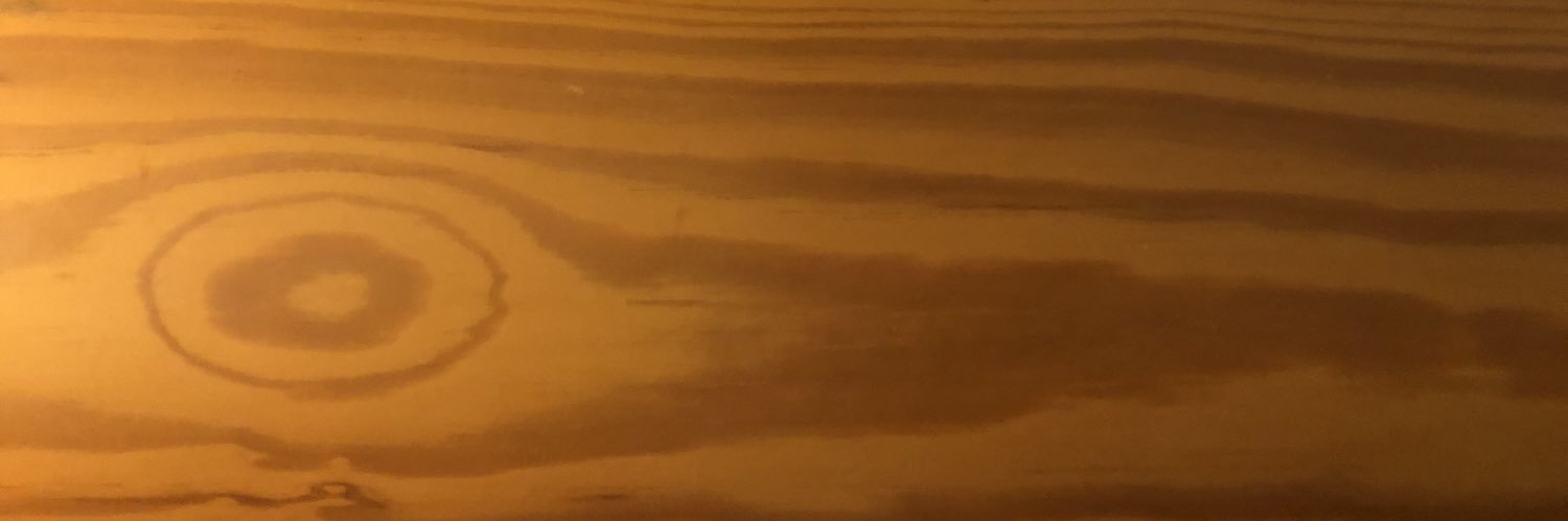 Kurt M Ribisl banner