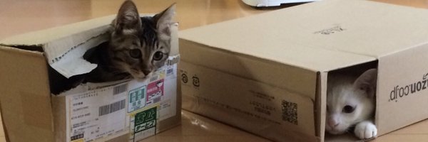 koki1971 Profile Banner