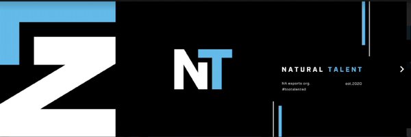 4NaturalTalent Profile Banner