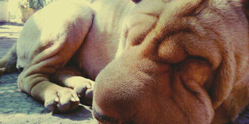 FacundoEG's profile banner image