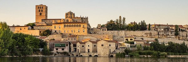 ToberZamoe Profile Banner