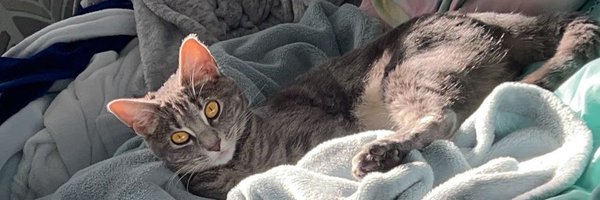 JazzzVAL Profile Banner
