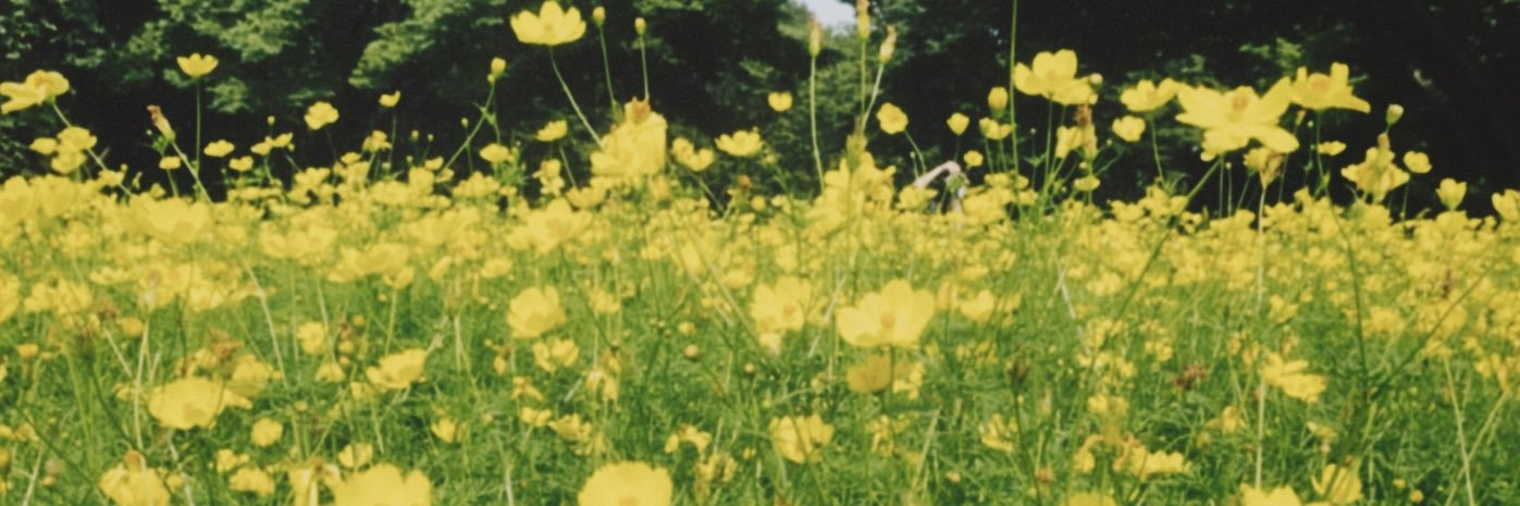 ___kbt0210's profile banner image