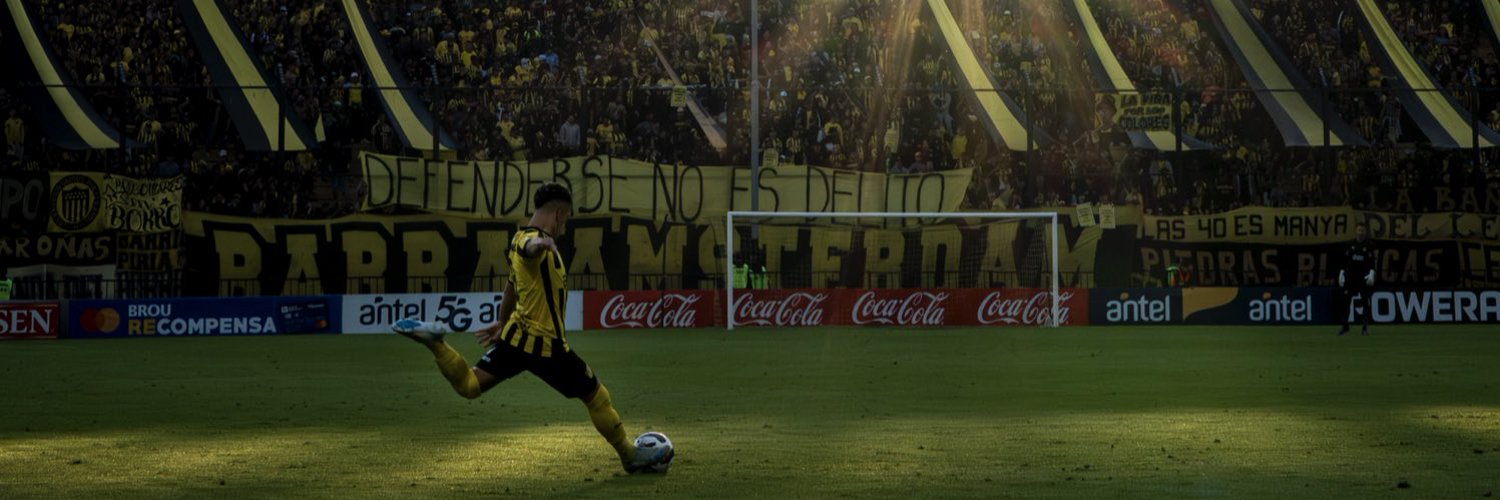 🏟's banner