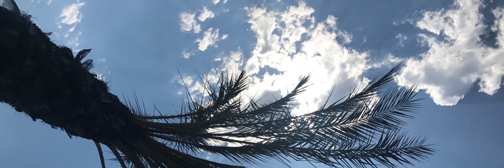janer815's profile banner image