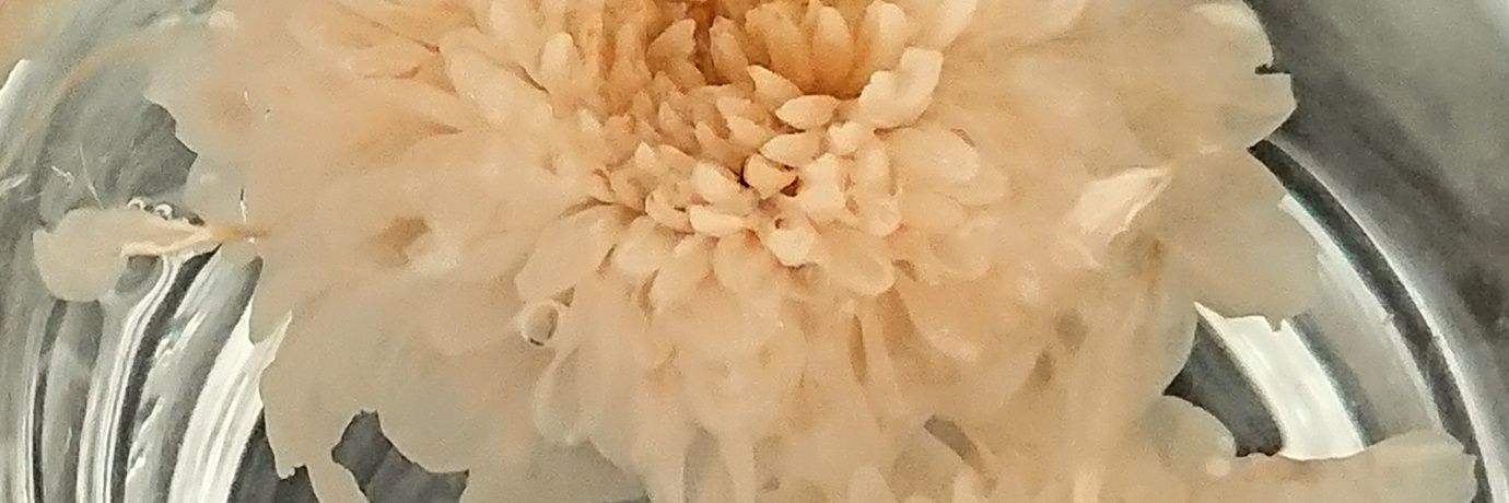 deconochie's profile banner image