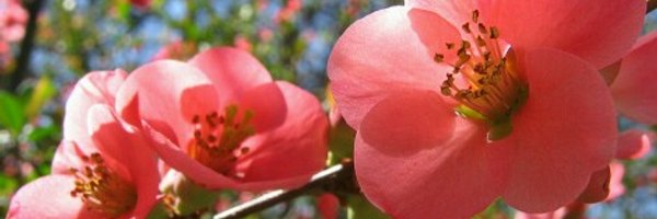 JettyvanRooy Profile Banner