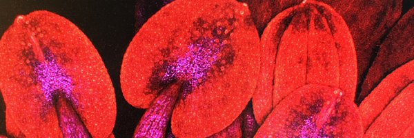 RyanDelPercio Profile Banner