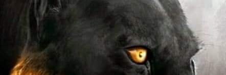 Leekzan's profile banner image