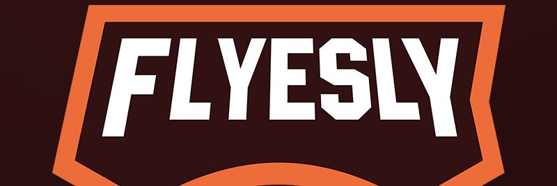 FlyeSly 🦊 banner
