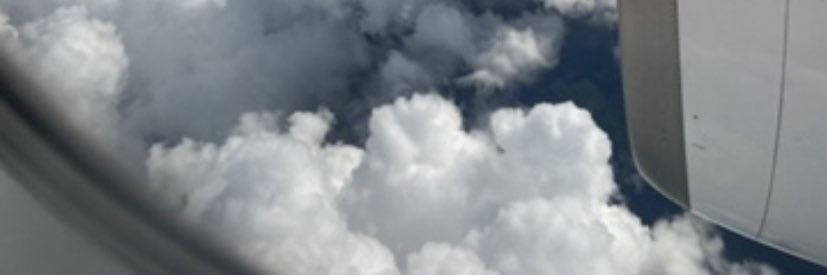 mestreyaa's profile banner image