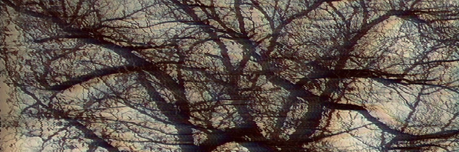 666333mu's profile banner image