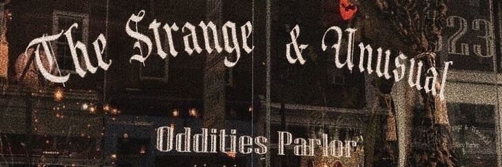 adi ⚢ banner