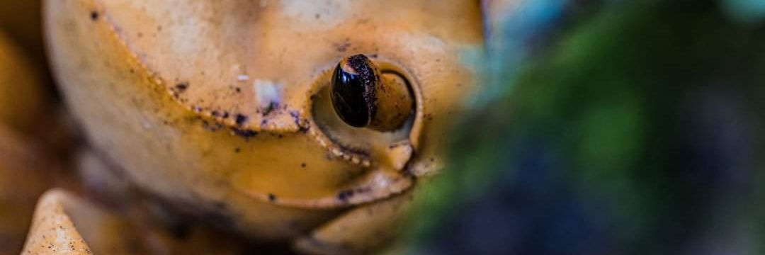 AIGConservation's profile banner image