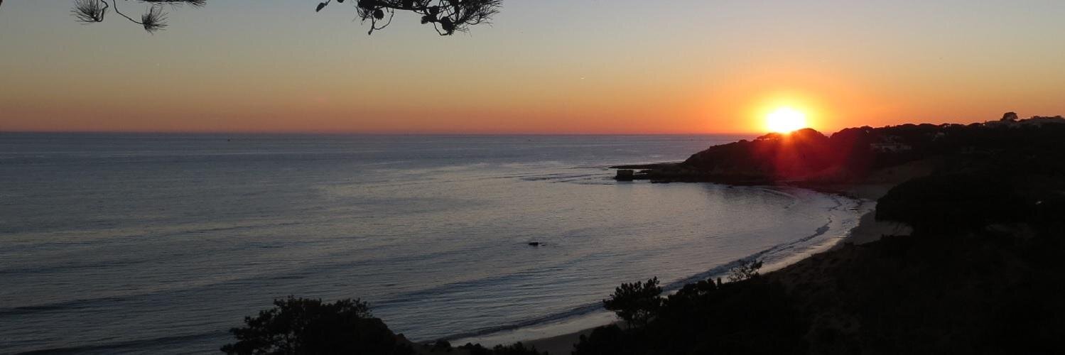 Gerhard de Kok banner