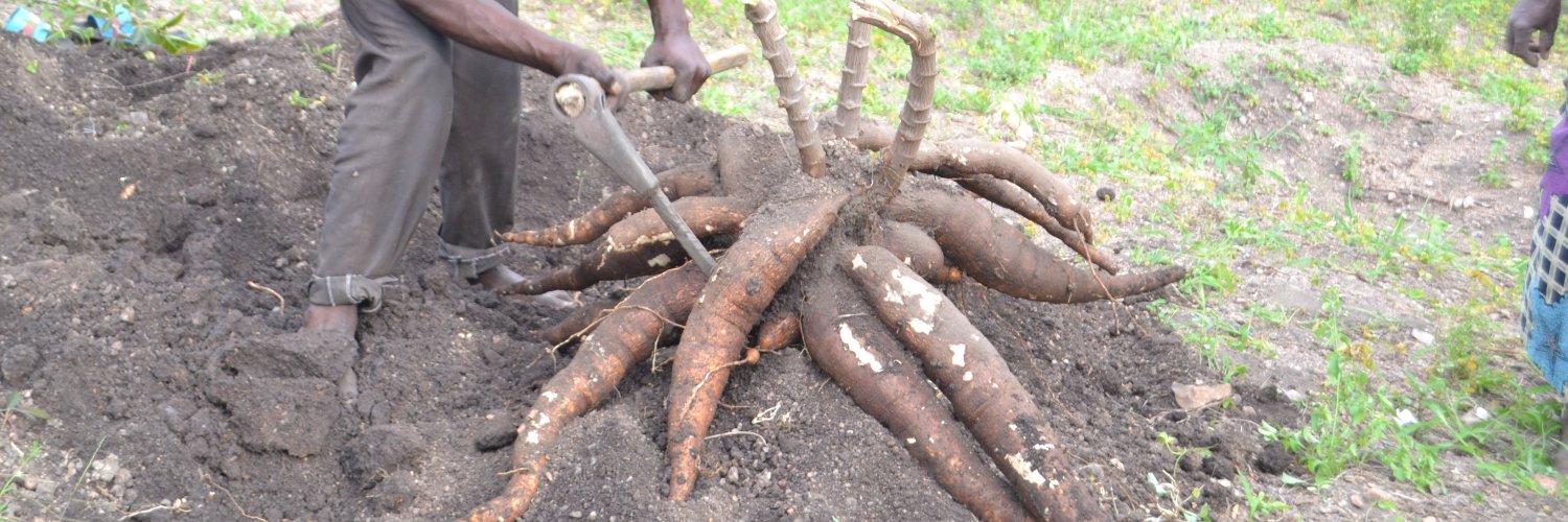 Alliance for Science Rwanda banner