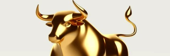 pruthvipawar's profile banner image