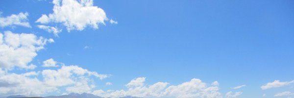 Daphnauni Profile Banner