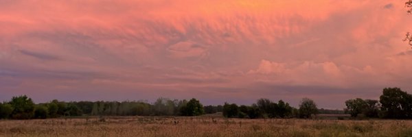 Kaitlyn Blosser Profile Banner