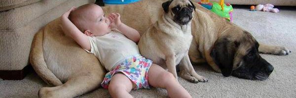carribeanq's profile banner image