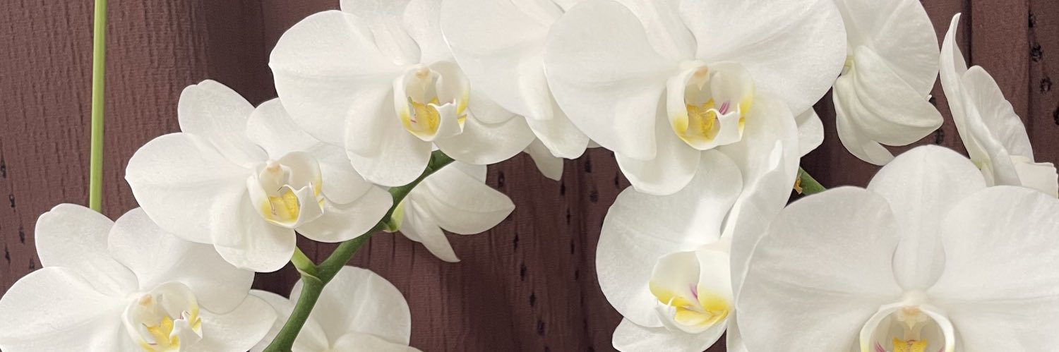 rinzu1122's profile banner image
