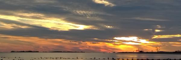 DrDWT Profile Banner