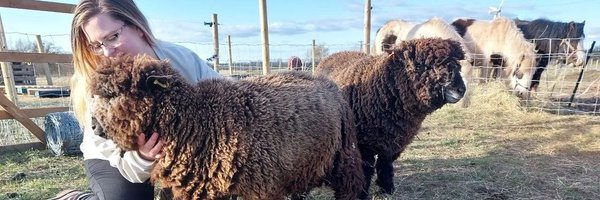 caseywhitewals1 Profile Banner