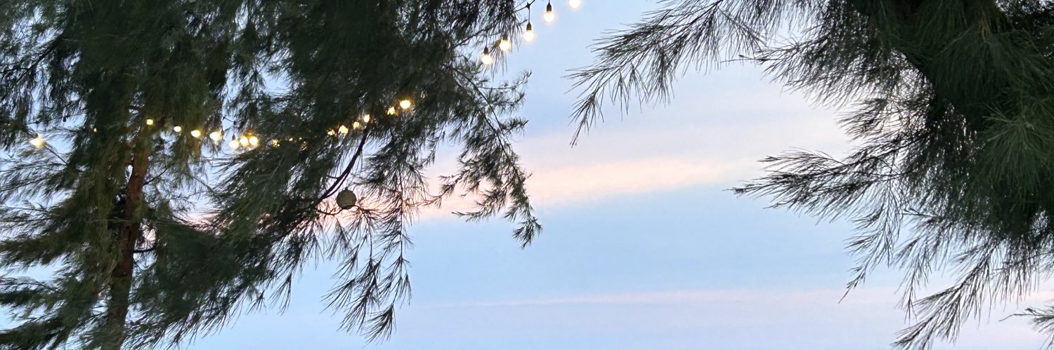 AMekrit's profile banner image