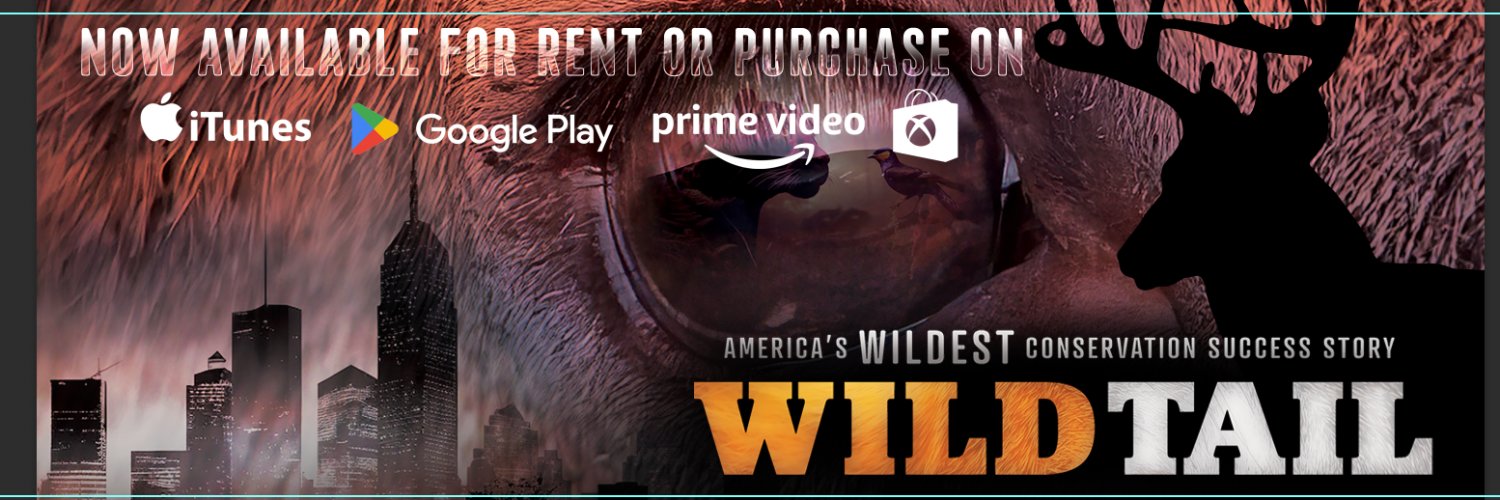 JoePClements's profile banner image