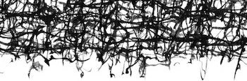 terashimakyosui's profile banner image