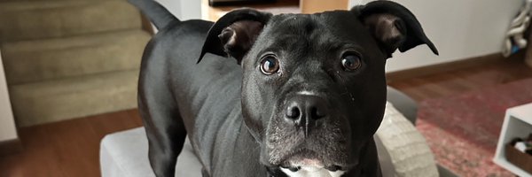 KocherAndrew Profile Banner