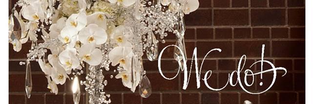 FlowerFusion's profile banner image