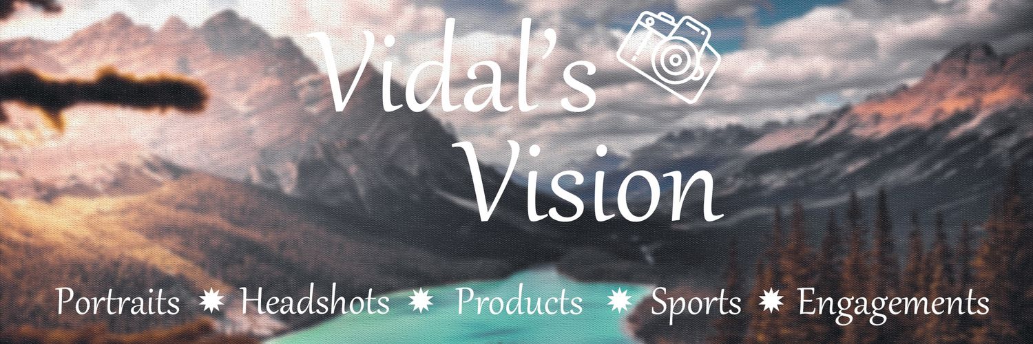 Vidal's Vision banner