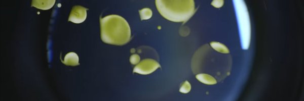 truthscrolling Profile Banner